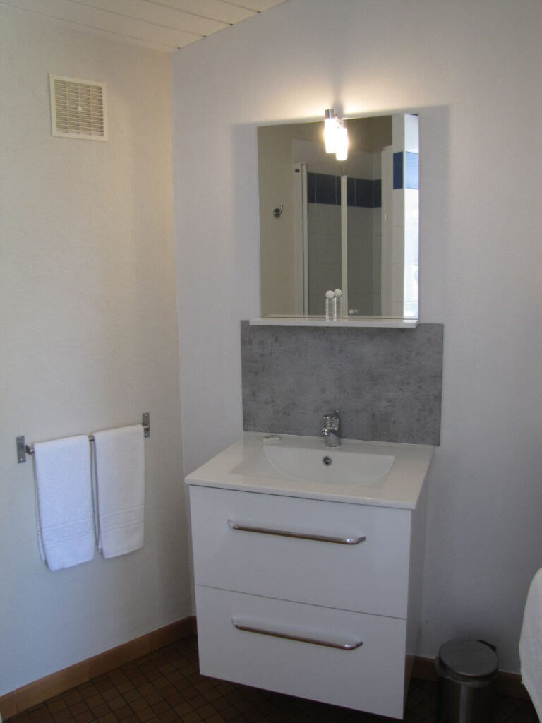 salle de bain chalet 4 personnes - Locations Hameau de Saintonge