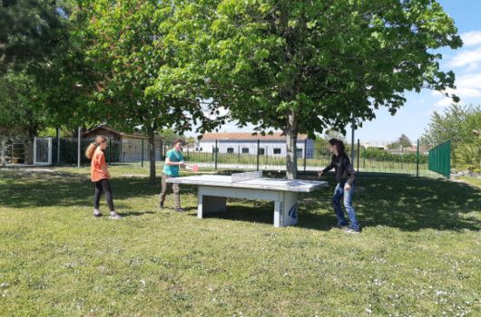Activité ping-pong - Locations Hameau de Saintonge